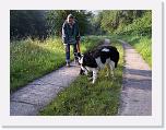 Hunde222 * 1288 x 966 * (412KB)